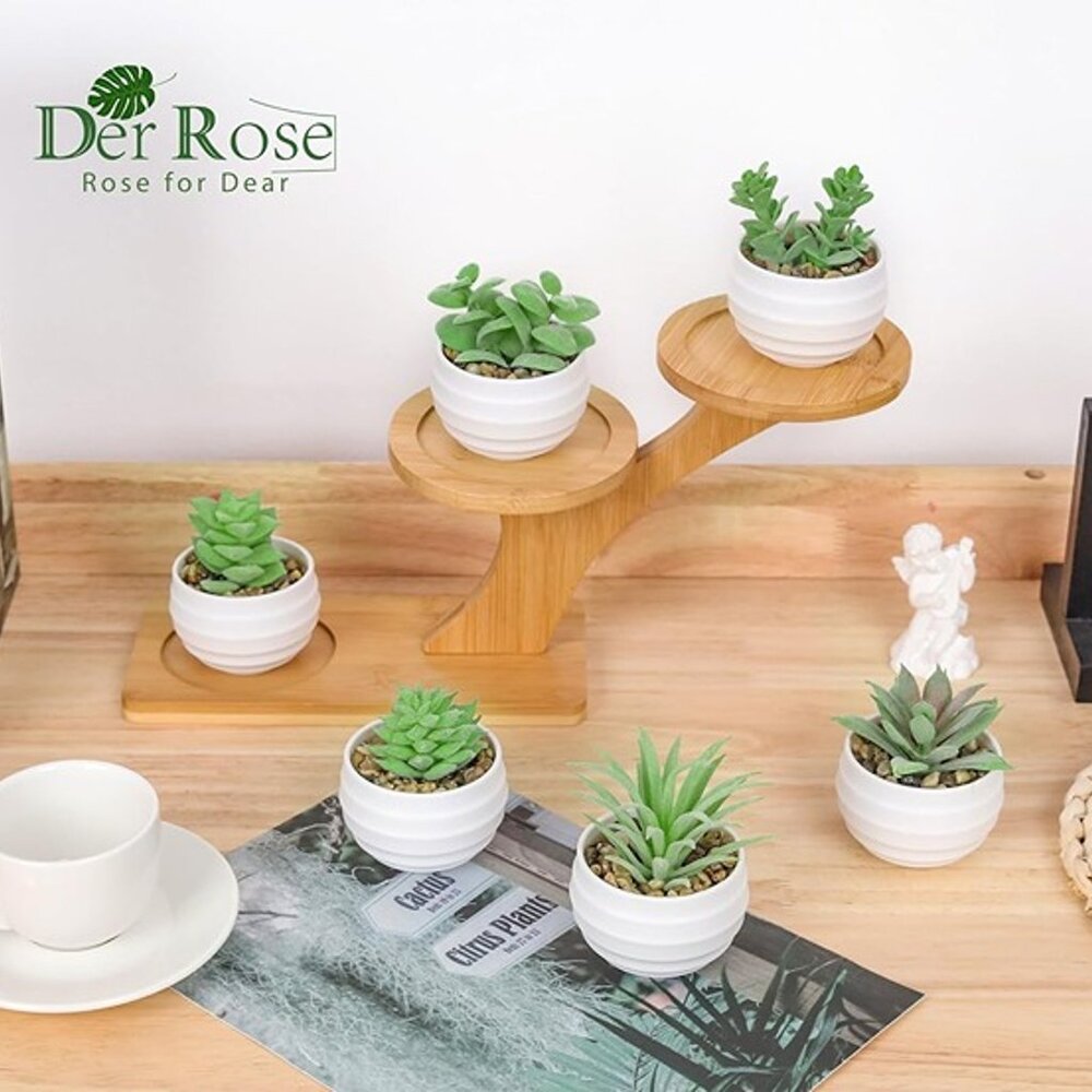 NEW Set of 6 Succulents Plants Artificial in Pots Small Fake Plants. - Picture 7 of 9